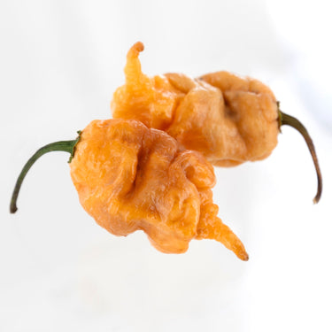 Thors Hammer Peach Pepper Seeds - The Pepper Pantry (Formerly Marie Sharp's)